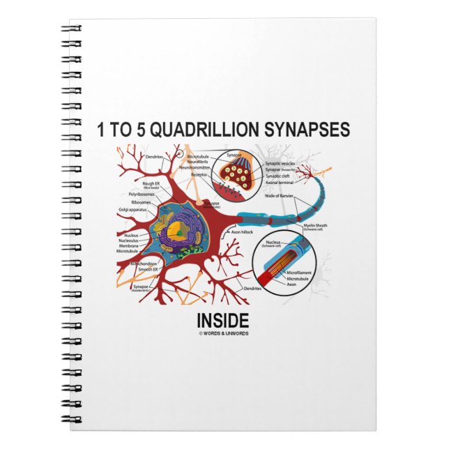 Cuaderno Sinapsis De 1 A 5 Quadrillones Dentro De La Neuron (Frente)