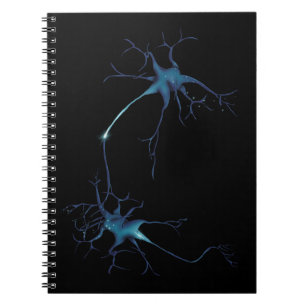 Cuaderno Sinapsis entre neuronas, neuronas neurocientíficas