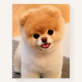 Cuaderno Singular Pomerania con encanto