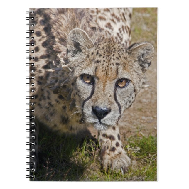 Cuaderno Sita (Frente)
