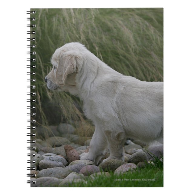 Cuaderno Situación del perrito del golden retriever (Frente)