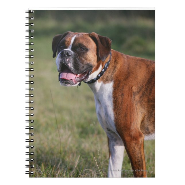Cuaderno Situación del perro del boxeador (Frente)
