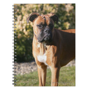 Cuaderno Situación del perro del boxeador del cervatillo
