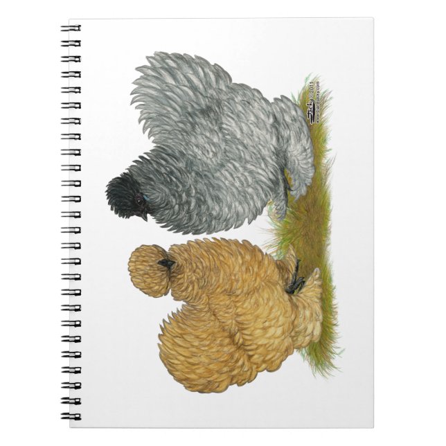 Cuaderno Sizzle Chickens (Frente)