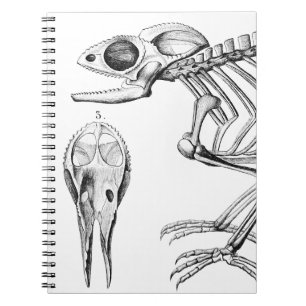 Cuaderno Skeleton vintage