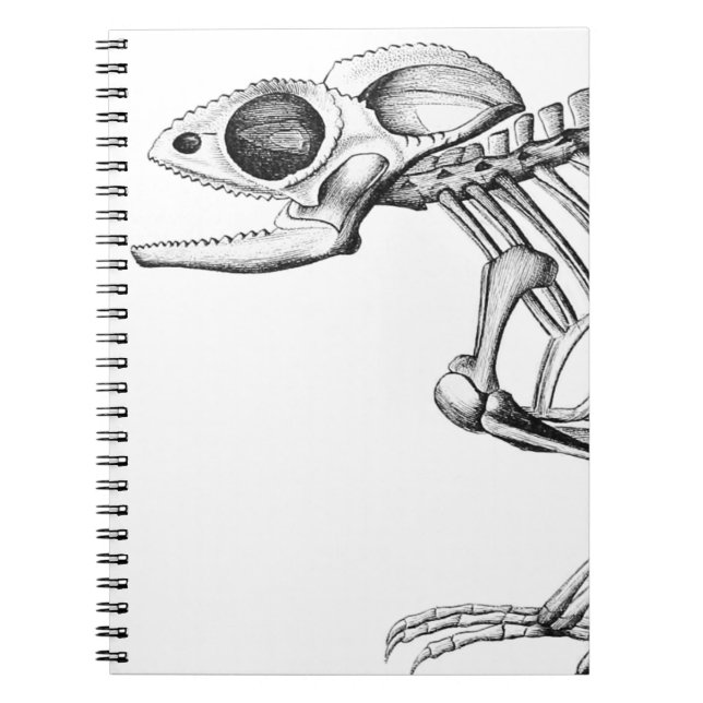 Cuaderno Skeleton vintage (Frente)
