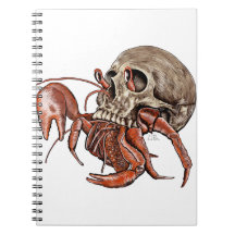 SKULL CRAB