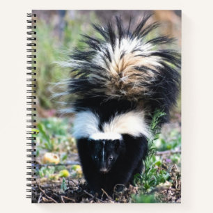 Cuaderno Skunk Black and White