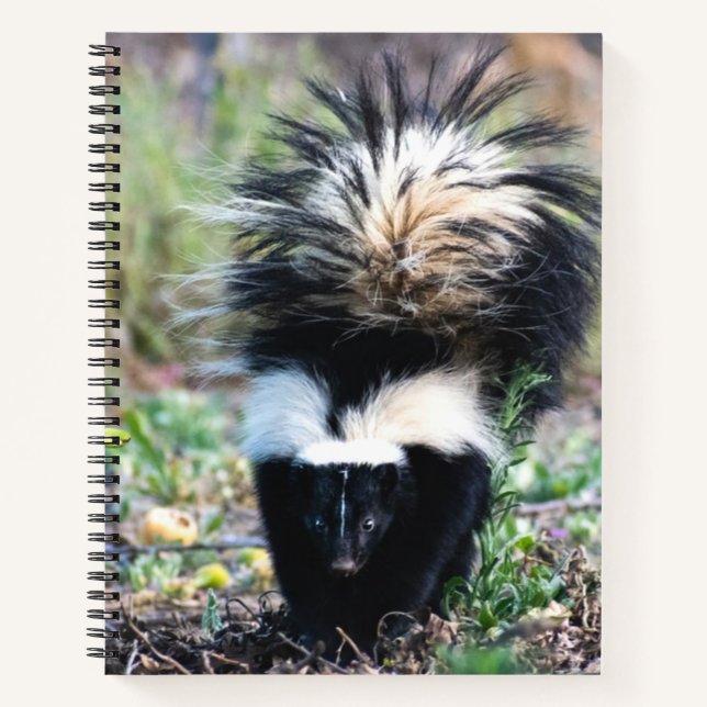 Cuaderno Skunk Black and White (Anverso)