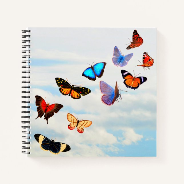 Cuaderno Sky de mariposa (Anverso)
