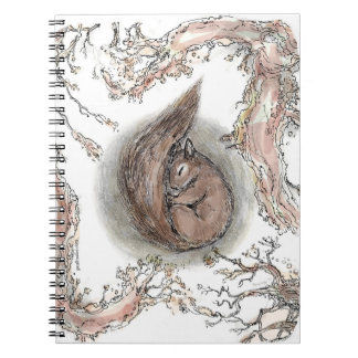 Cuaderno Sleeping Squirrel