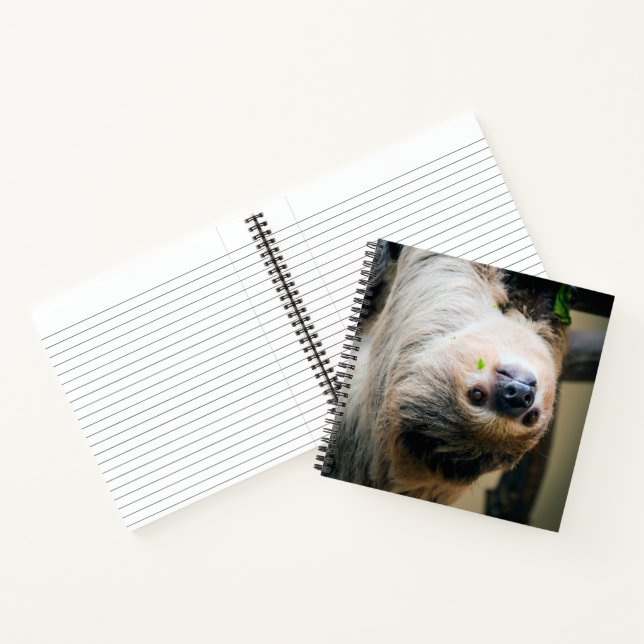 Cuaderno Sloth 005 (Interior)