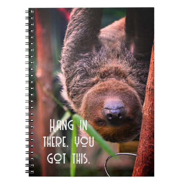 Cuaderno Sloth Hanging Out Funny Deck of (Frente)
