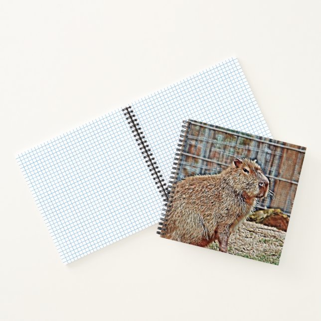 Cuaderno SmartMix Animal- Capibara (Interior)
