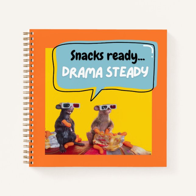 Cuaderno Snacks Listos, Drama Estable (Anverso)
