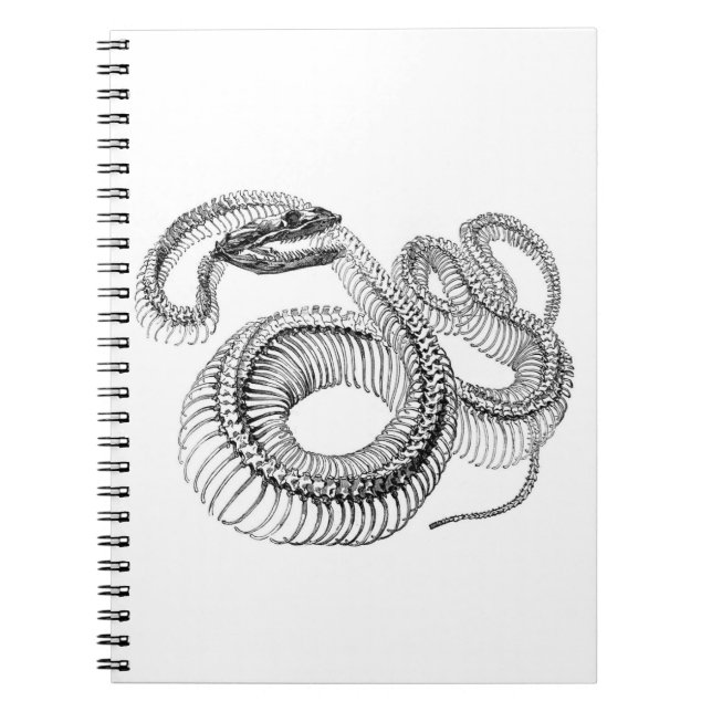 Cuaderno Snake Skeleton Notebook (Frente)