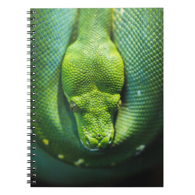 CUADERNO SNAKE VERDE (Frente)