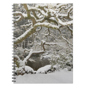 Cuaderno Snow-covered Japanese maple