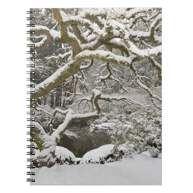 Cuaderno Snow-covered Japanese maple (Frente)