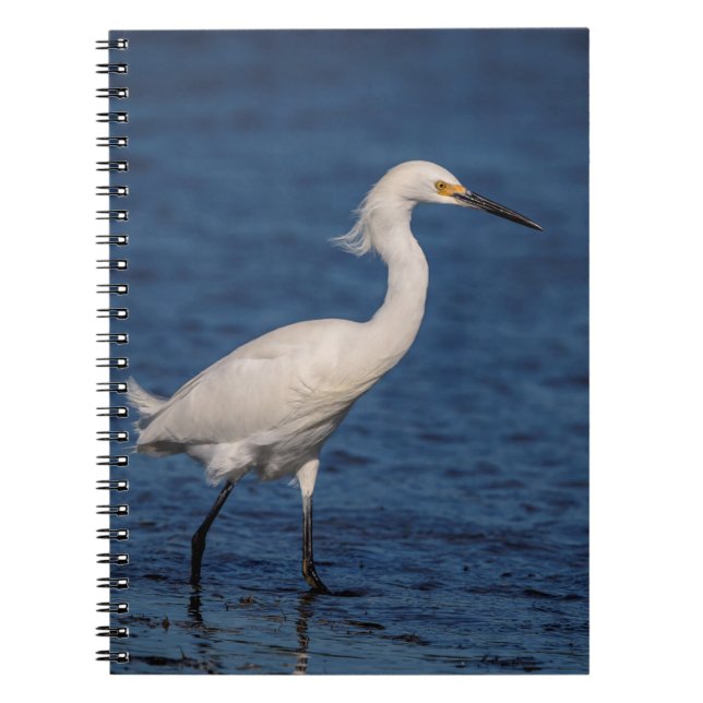 Cuaderno Snowy Egret en North Beach (Frente)