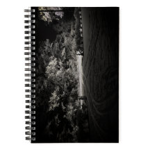 Snowy Forest at Night