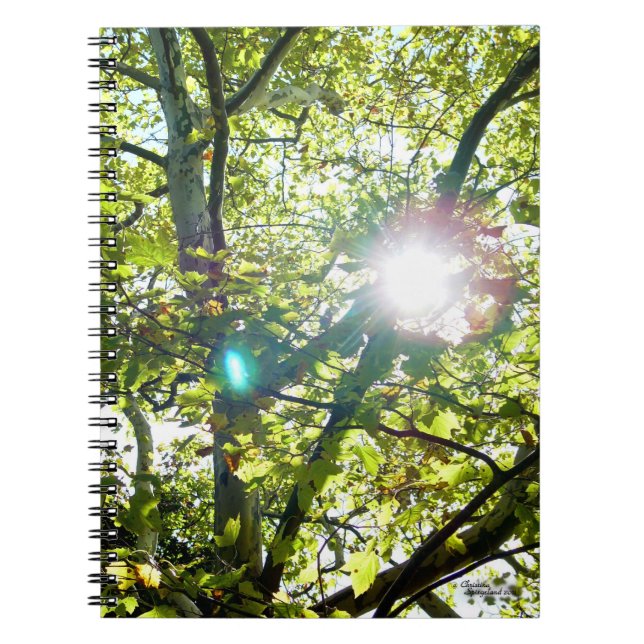 Cuaderno Sol brillando a través del bloc de notas del árbol (Frente)
