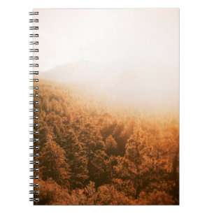 CUADERNO SOL DE ORO SOBRE UN BOSQUE