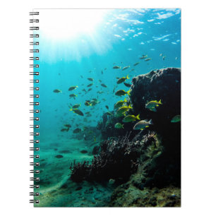Cuaderno Sol y pescados tropicales