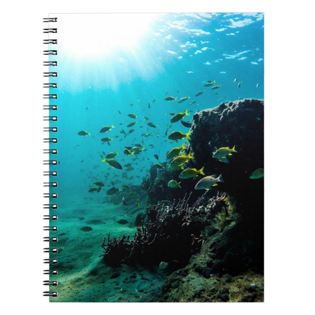 Cuaderno Sol y pescados tropicales (Frente)