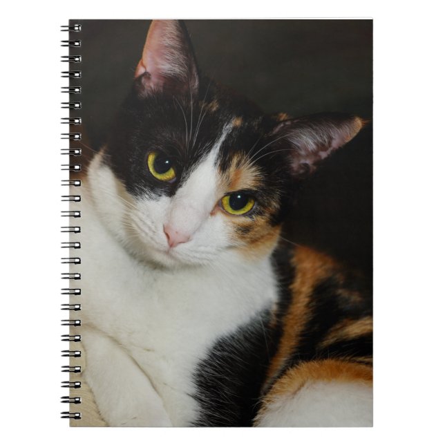Cuaderno Sólo colgando alrededor (Frente)