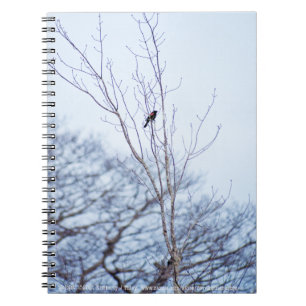Cuaderno Soloista