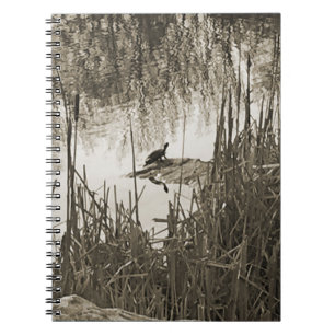 Cuaderno Solsticio de invierno