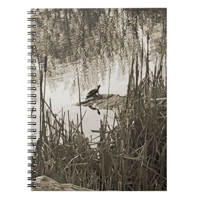 Cuaderno Solsticio de invierno (Frente)