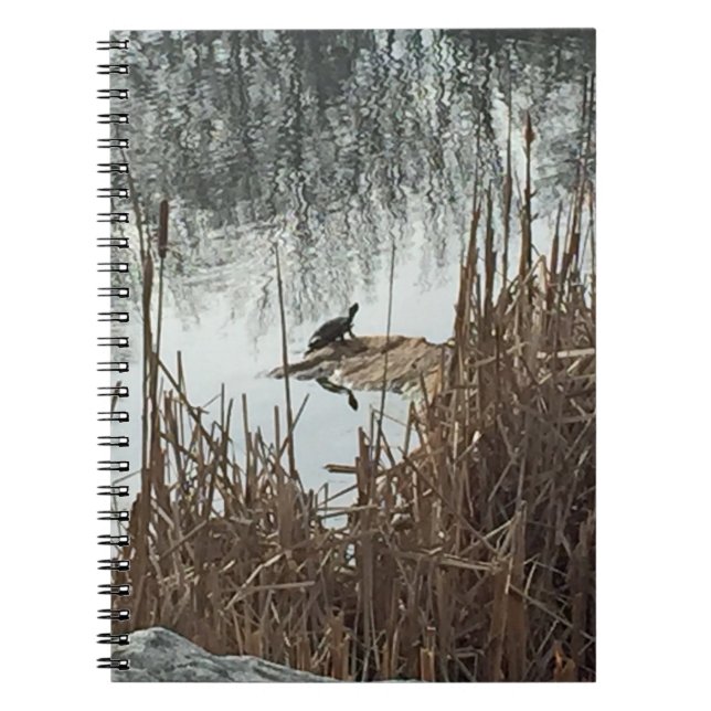 Cuaderno Solsticio de invierno (Frente)