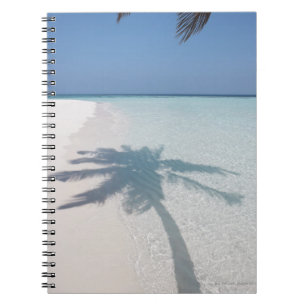Cuaderno Sombra de una palmera en una playa abandonada de