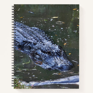 Cuaderno Sombra en las aguas poco profundas