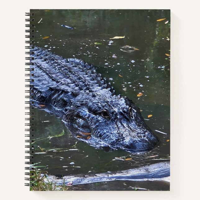 Cuaderno Sombra en las aguas poco profundas (Anverso)