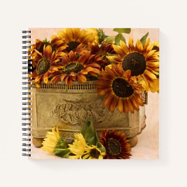 Cuaderno Sombras naranjas En La Cesta De Tin (Anverso)