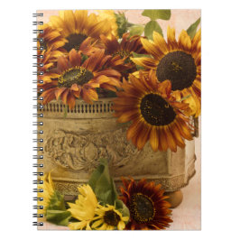 Cuaderno Sombras naranjas En La Cesta De Tin