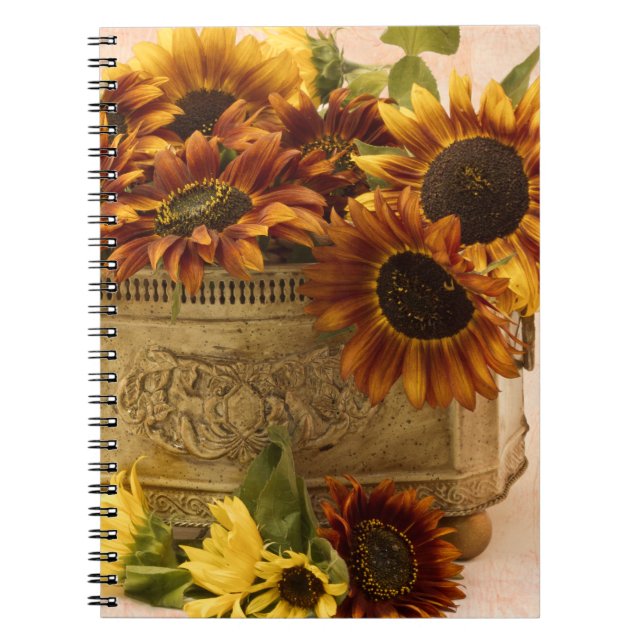 Cuaderno Sombras naranjas En La Cesta De Tin (Frente)