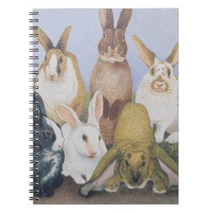 Cuaderno Somos todos los oídos