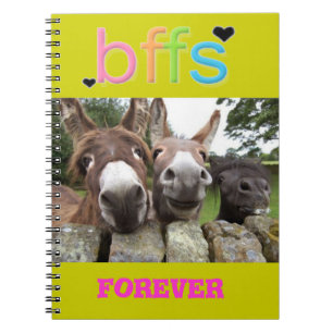Cuaderno sonriente de los burros de BFF