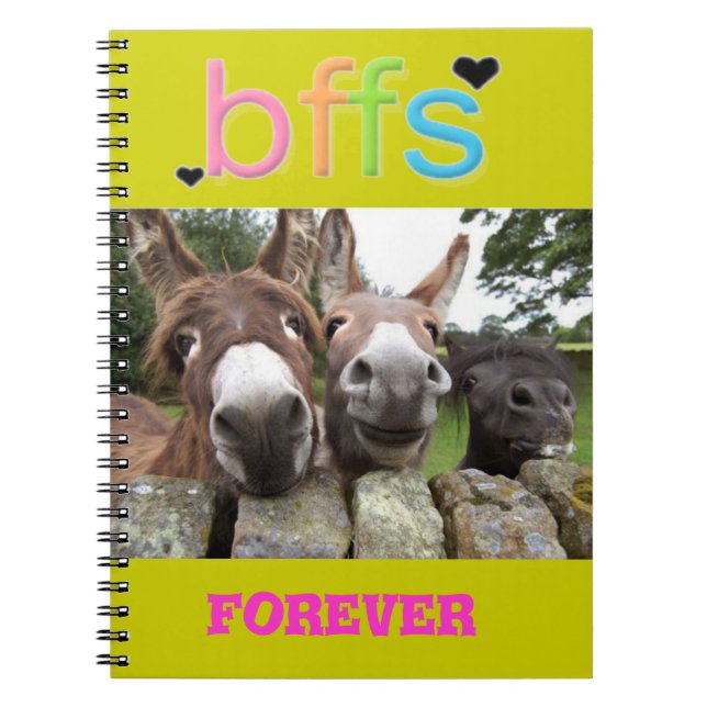 Cuaderno sonriente de los burros de BFF (Frente)