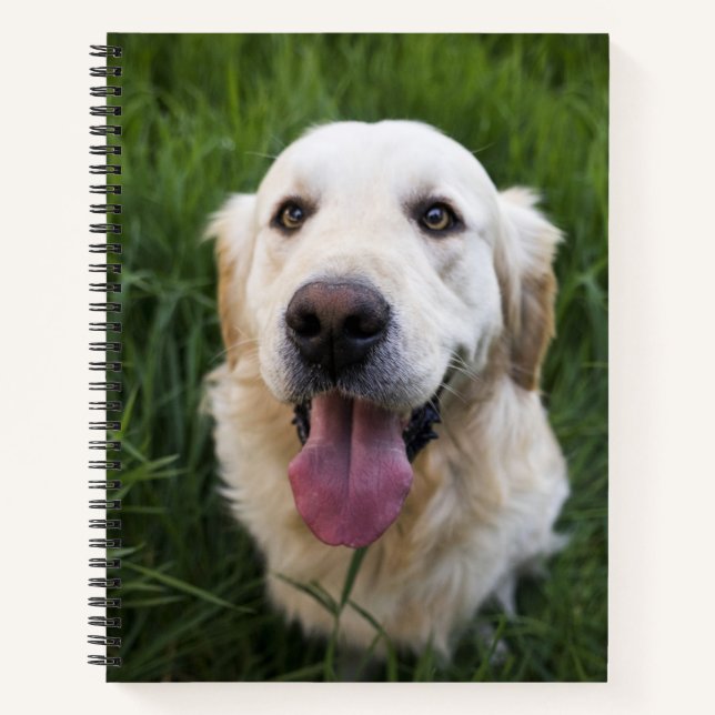 Cuaderno Sonriente Golden Retriever (Anverso)
