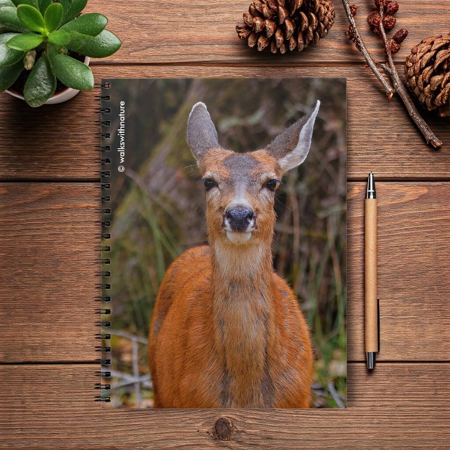 Cuaderno Sonrisas de ciervo de cola negra joven y graciosa  (Young Blacktail Deer Stares at the Photographer Journal Cover Photo)