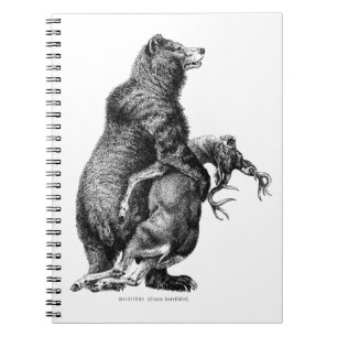 Cuaderno Sopa grizzly Huning Deer Simple Drawing
