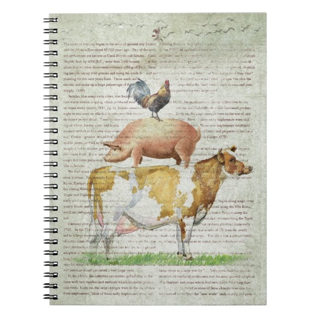 Cuaderno Soporte B1.tif de la granja NOB11 (Frente)
