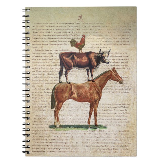 Cuaderno Soporte C1.tif de la granja NOB12 (Frente)