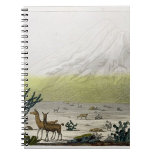 Cuaderno Soporte Chimborazo, Ecuador, de 'Le Costume Ancien