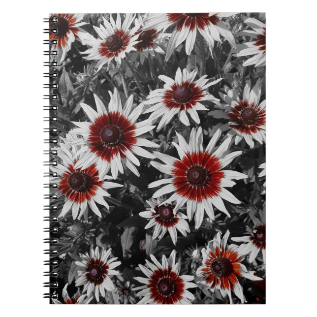 Cuaderno Sorprendente bloc de notas en espiral de Susans de (Frente)